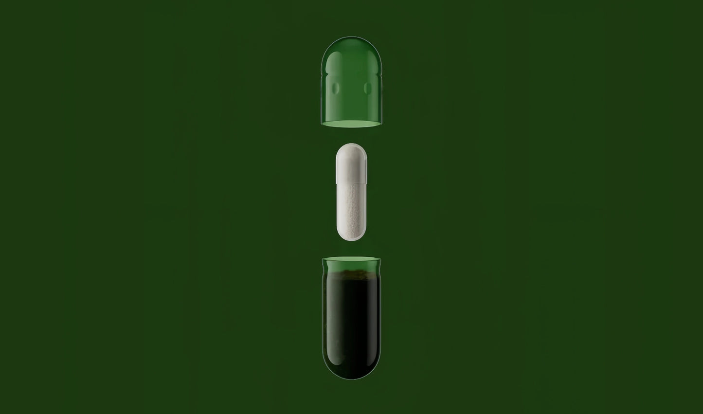DS-01® Daily Synbiotic