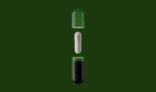 DS-01® Daily Synbiotic